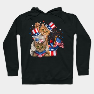 Cute Three Cat 4th of July Firework American Flag Hoodie